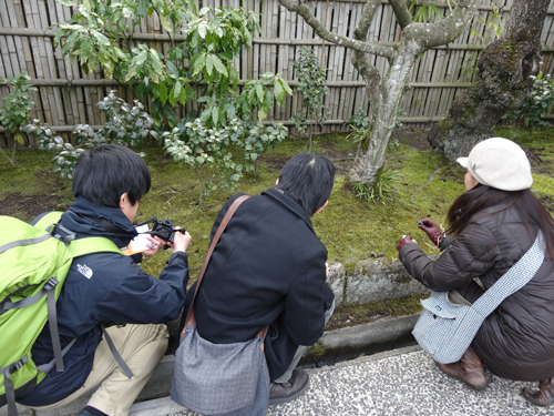 東慶寺にいながら、入口にとどまりひたすらメモをとり写真を撮り続ける集団…。あやしいですよね。実際。